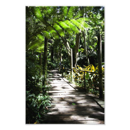 Garden för den sovande jätten Fiji Fototryck