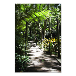 Garden för den sovande jätten Fiji Fototryck
