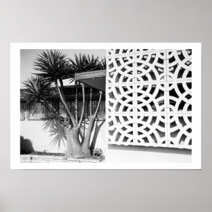 Garden från mitten av århundradet poster