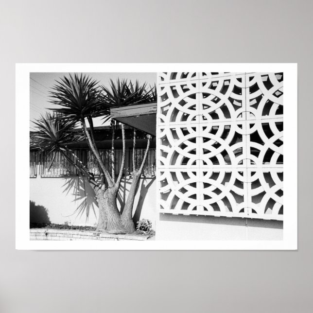 Garden från mitten av århundradet poster (Framsidan)