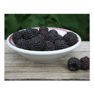 Garden Fresh Black Rasphallon i Bowl Fototryck