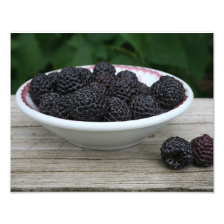 Garden Fresh Black Rasphallon i Bowl Fototryck