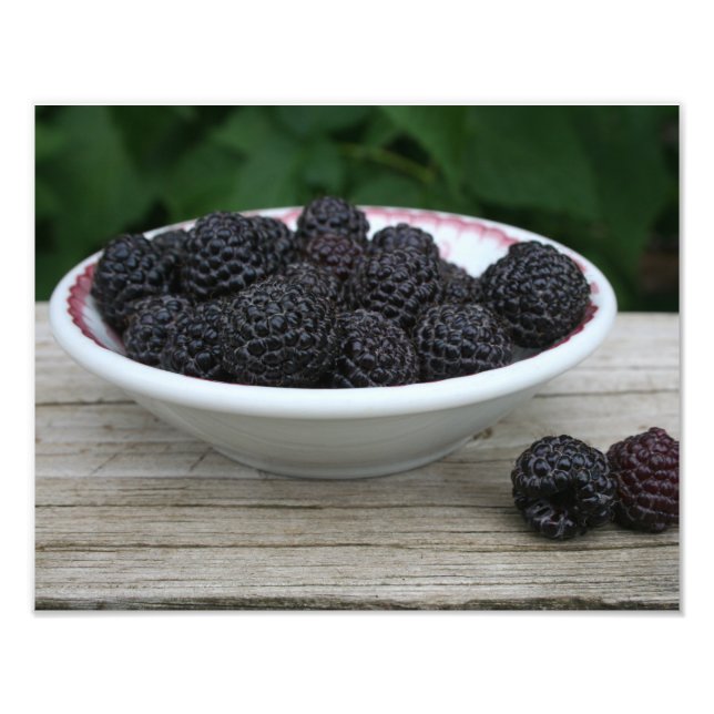 Garden Fresh Black Rasphallon i Bowl Fototryck (Framsidan)
