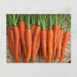 Garden Fresh Heirloom Carrots Vykort