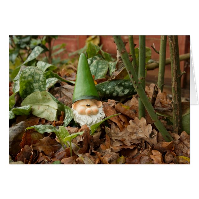 Garden gnome hälsningskort (Framsidan Horizontal)