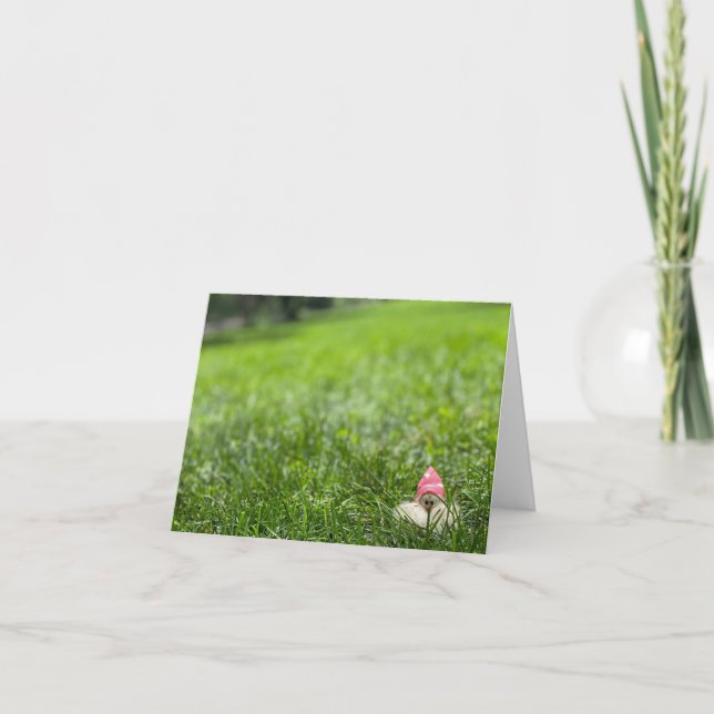 Garden Gnome rosa hat Greeting Card Blank Inside I Kort (Framsida)