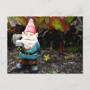 Garden Gnome Vykort