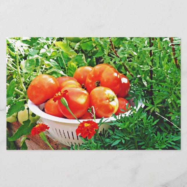 Garden Goodies Brevpapper (Framsida)