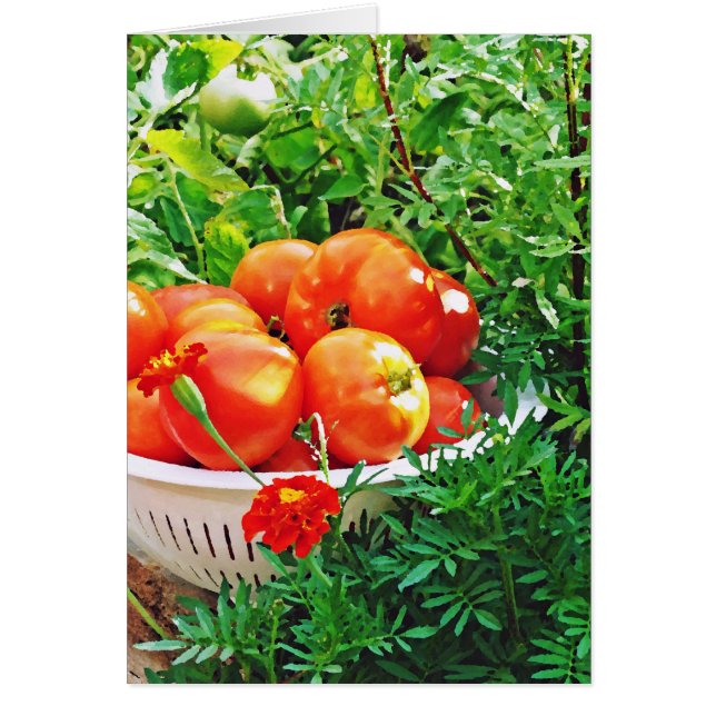 Garden Goodies Hälsningskort (Framsidan)