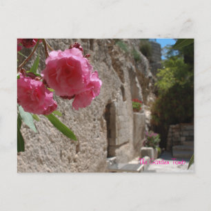 Garden Grav Jeruselum Isreal Vykort