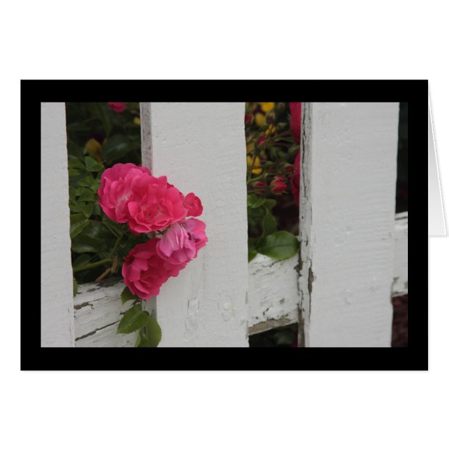 Garden Grind Hälsningskort (Framsidan Horizontal)