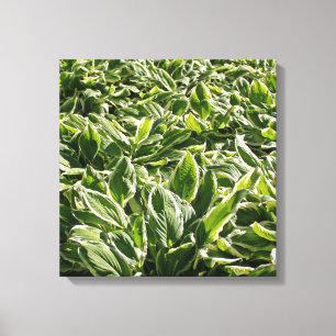Garden Grönt Leafy Plants Fars dag Pappa Gift Canvastryck