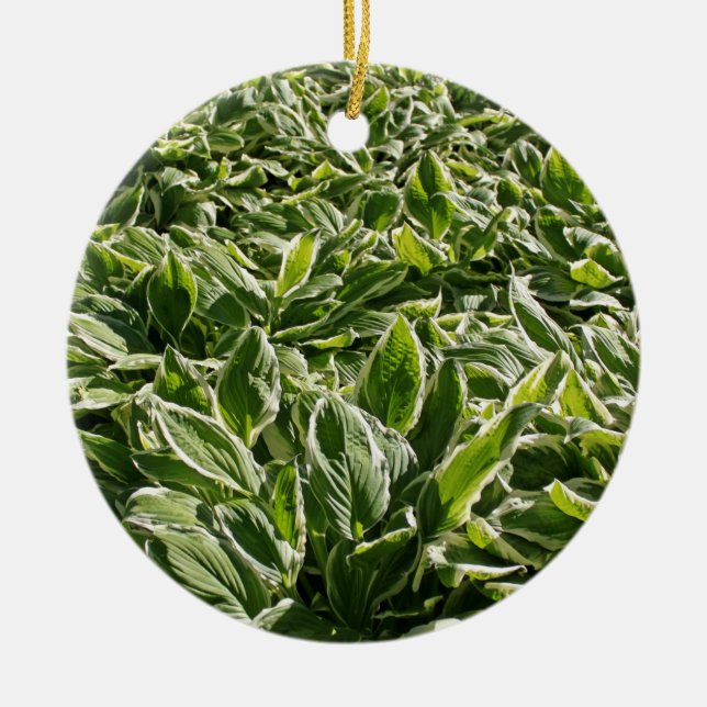 Garden Grönt Löv Fars dag Plant Pappa Gift Julgransprydnad Keramik (Framsidan)