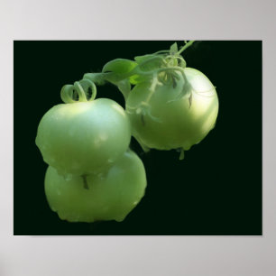 Garden Grönt Tomates Nature Poster