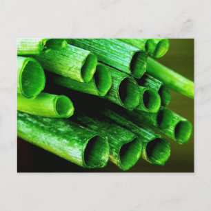 Garden Grown Leeks Vykort