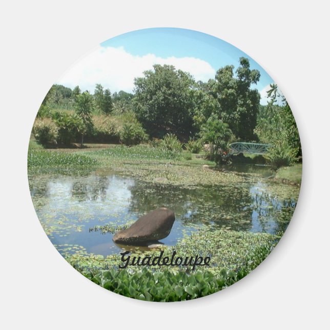 Garden i Guadeloupe Magnet (Framsidan)