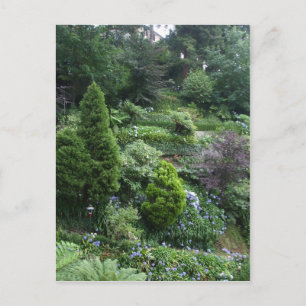 Garden II-vykort Vykort