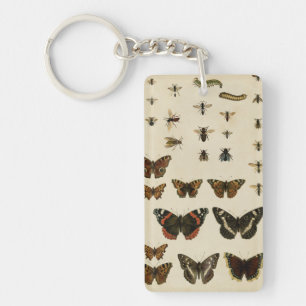 Garden Insektrare efter Vision Studio