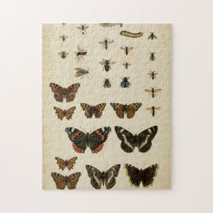Garden Insektrare efter Vision Studio Pussel