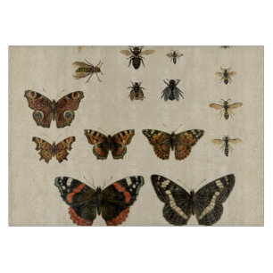 Garden Insekts by Vision Studio