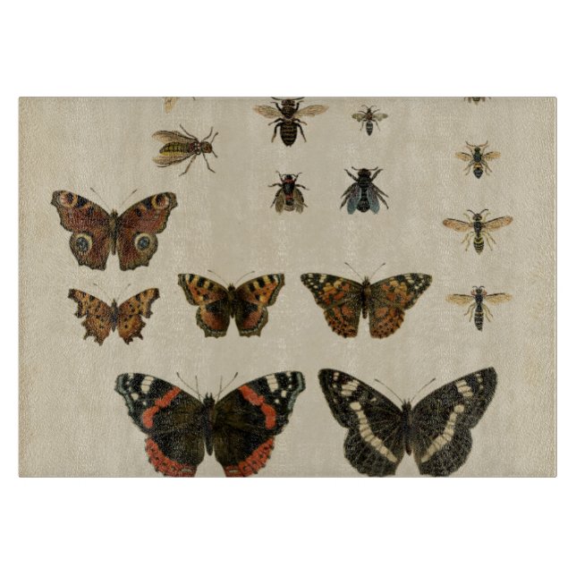 Garden Insekts by Vision Studio (Framsidan)