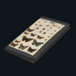 Garden Insekts by Vision Studio<br><div class="desc">Vision Studio biet är en entomologdröm! Garden insektra ritas på en gräddbakgrund,  som visas i en vackert detalj. Om du insekter kärlek är det här som är ditt namn!</div>