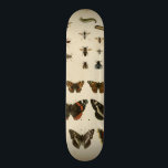 Garden Insekts by Vision Studio Old School Skateboard Bräda 18 Cm<br><div class="desc">Vision Studio biet är en entomologdröm! Garden insektra ritas på en gräddbakgrund,  som visas i en vackert detalj. Om du insekter kärlek är det här som är ditt namn!</div>