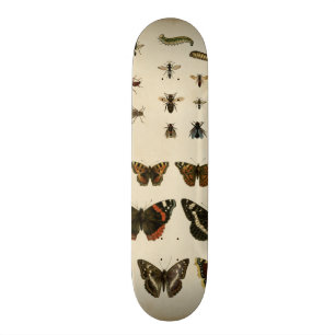 Garden Insekts by Vision Studio Old School Skateboard Bräda 18 Cm