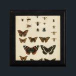 Garden Insekts by Vision Studio Smyckeskrin<br><div class="desc">Vision Studio biet är en entomologdröm! Garden insektra ritas på en gräddbakgrund,  som visas i en vackert detalj. Om du insekter kärlek är det här som är ditt namn!</div>