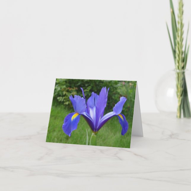Garden Iris-anteckningskort Kort (Framsida)