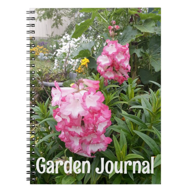 Garden Journal Rosa Penstemon Vår blommor Anteckningsbok (Framsidan)
