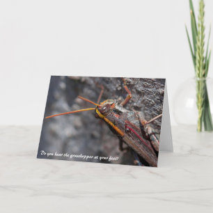 Garden Locust Grashopper Greeting Card Kort