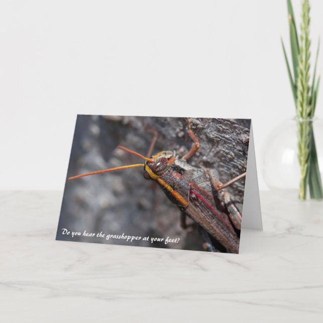 Garden Locust Grashopper Greeting Card Kort (Framsida)