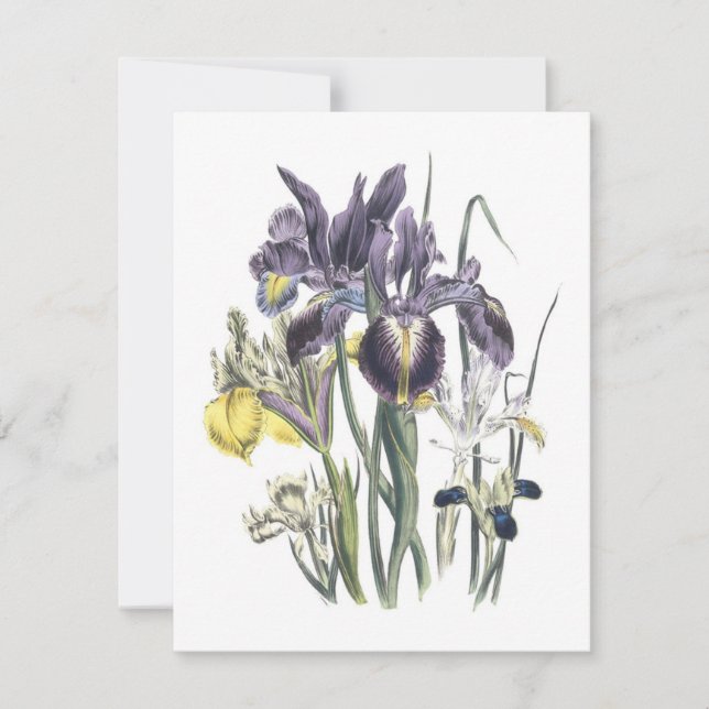 Garden Luncheon Inbjudningar (Framsida)