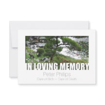 Garden med katter i laduminne 8 mall