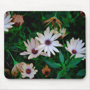 Garden Musmatta