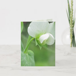 Garden Notecard för alla Tillfälle Kort