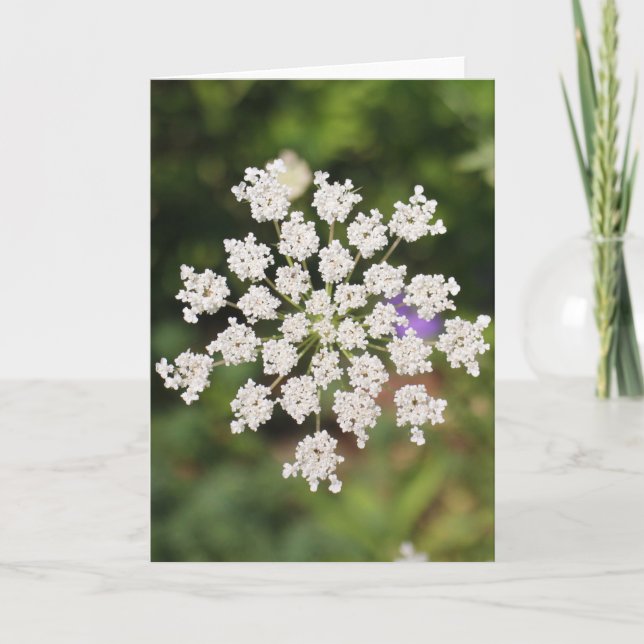 Garden O Weedin Talking Canyons, New mexico Kort (Framsida)