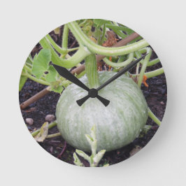 Garden: Odling Pumpkin Rund Klocka