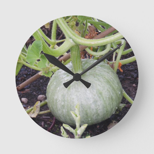 Garden: Odling Pumpkin Rund Klocka (Framsida)