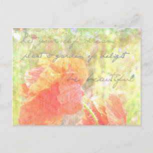 Garden of Delight Poppies Postcard Vykort