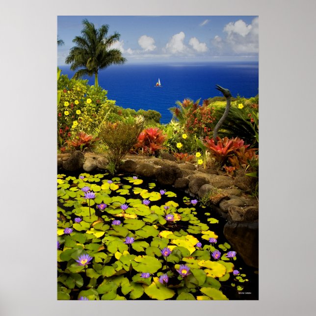 Garden of Eden - Maui - Hawaii Poster (Framsidan)