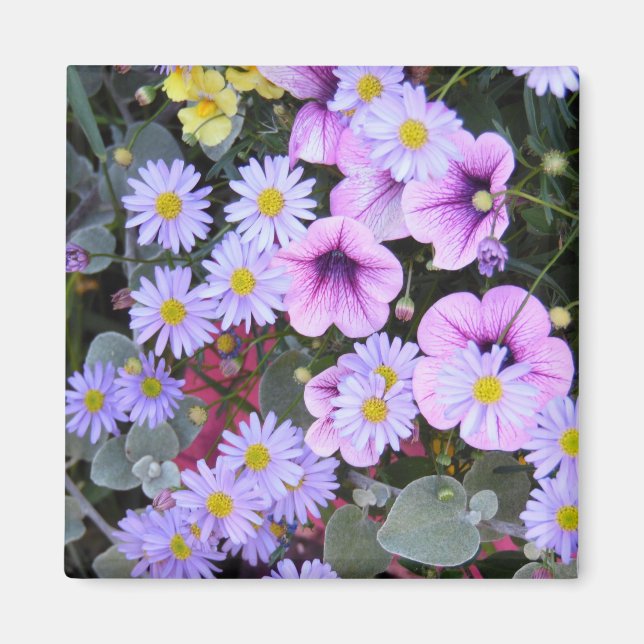 Garden of Flowers Magnet (Framsidan)