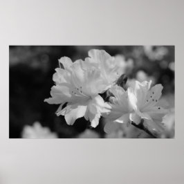 Garden of Flowers Poster