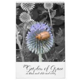 Garden of Grace: In Black & White & Color Calendar Kalender