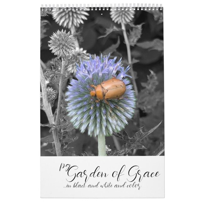 Garden of Grace: In Black & White & Color Calendar Kalender (Omslag)