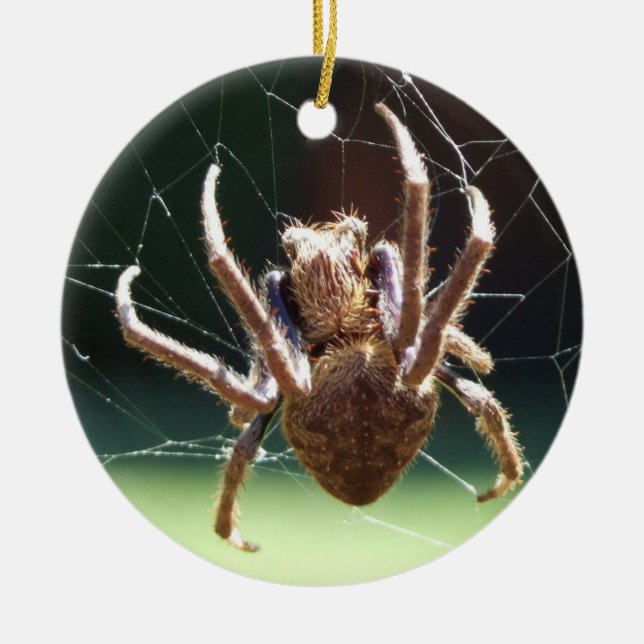 Garden Orb Weaver Spider Ornament (Framsidan)