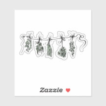 Garden Örters botaniska växt teckning