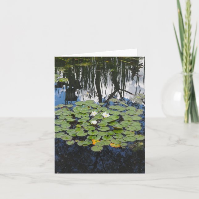 Garden Park som reflekterar ett filékort med vikt Kort (Framsida)