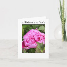 GARDEN PEONY PHOTO FLORAL NOTE CARD ANTECKNINGSKORT